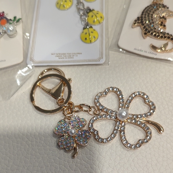 Assorted Keychain Set with Charms - Picture 5 of 5